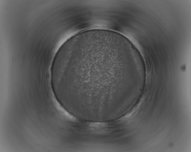 X0000092221341200709281035