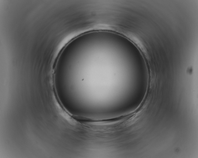 X0000092221342200709281035
