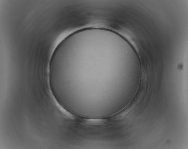 X0000092221343200709281035