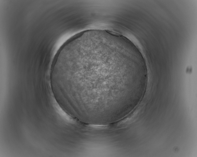 X0000092221344200709281035