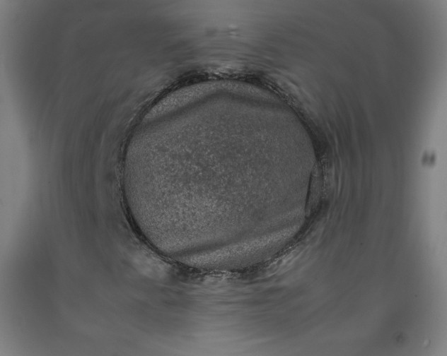 X0000092221345200709281035
