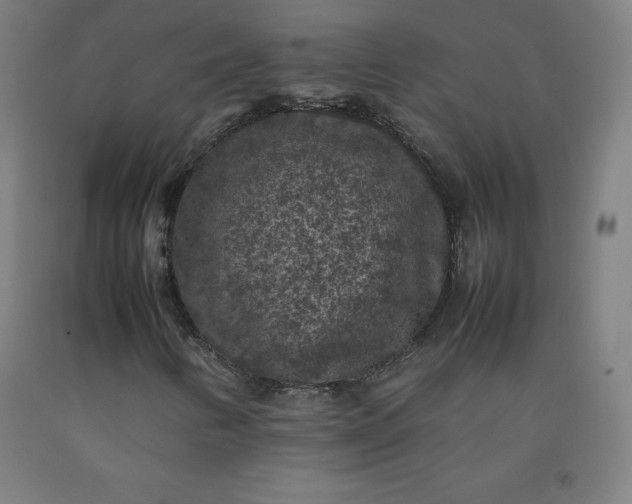 X0000092221346200709281035