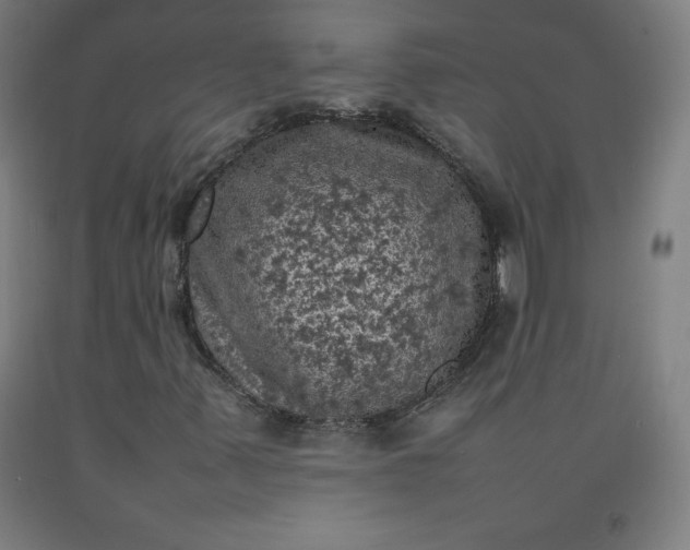 X0000092221347200709281035