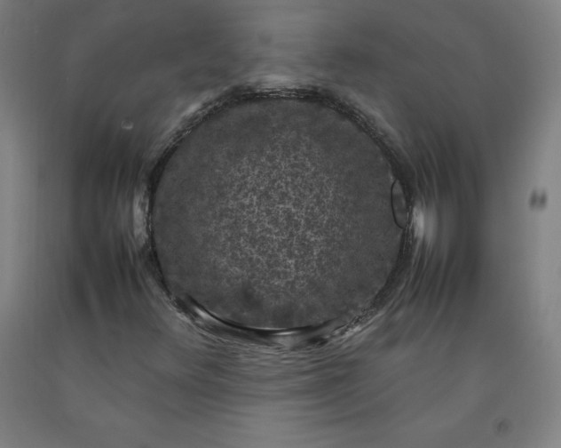 X0000092221348200709281035