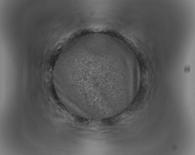 X0000092221349200709281035