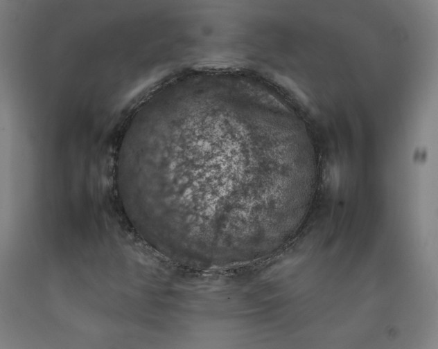 X0000092221350200709281035