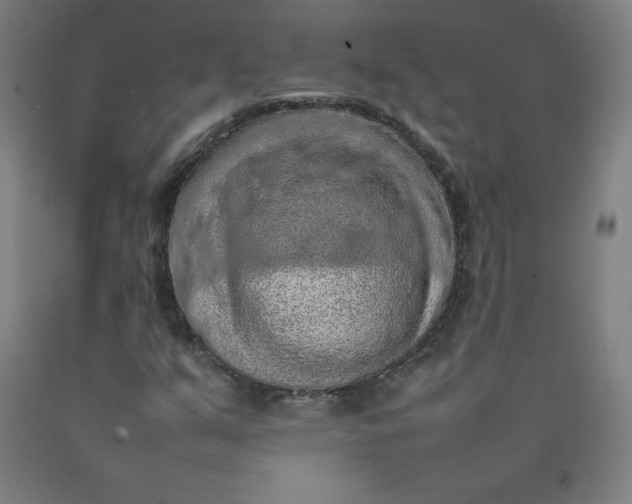 X0000092221351200709281035