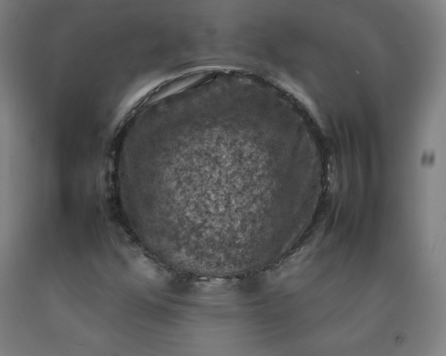 X0000092221352200709281035