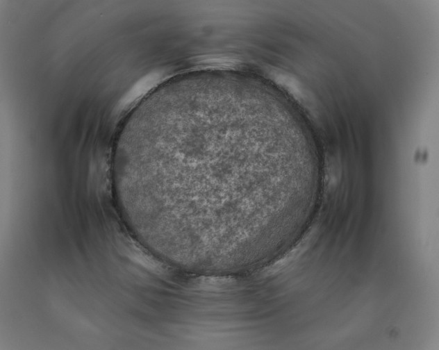 X0000092221354200709281035