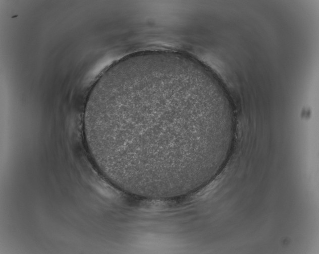 X0000092221355200709281035