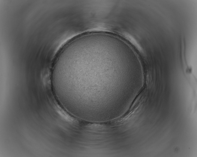 X0000092221356200709281035