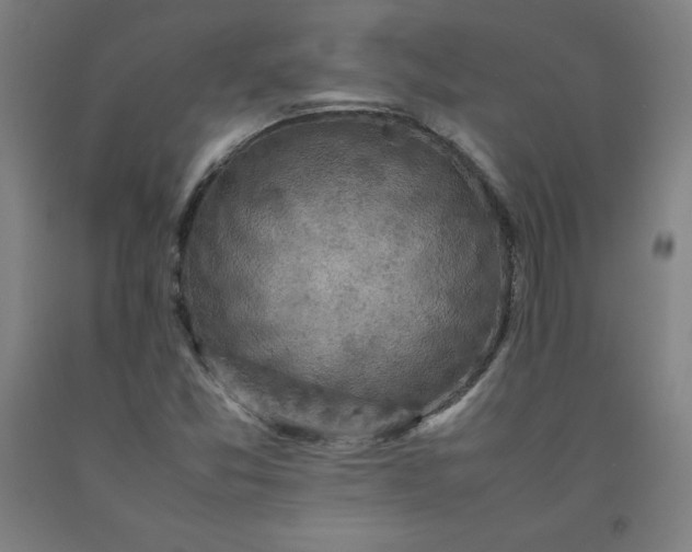 X0000092221357200709281035