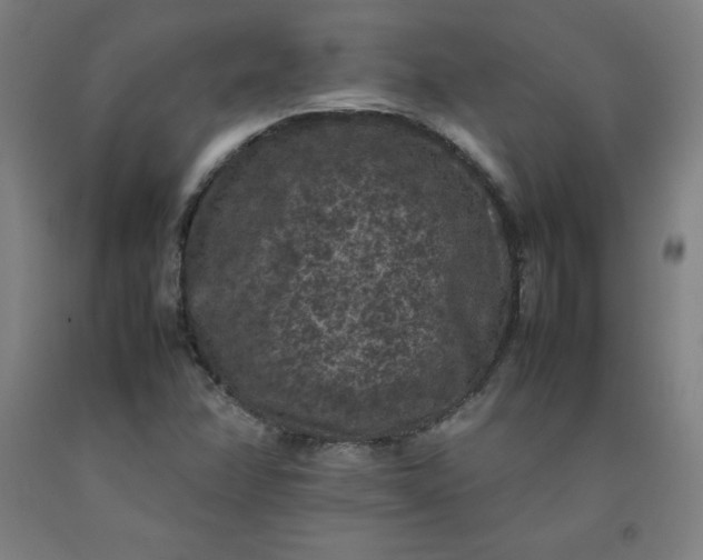 X0000092221358200709281035