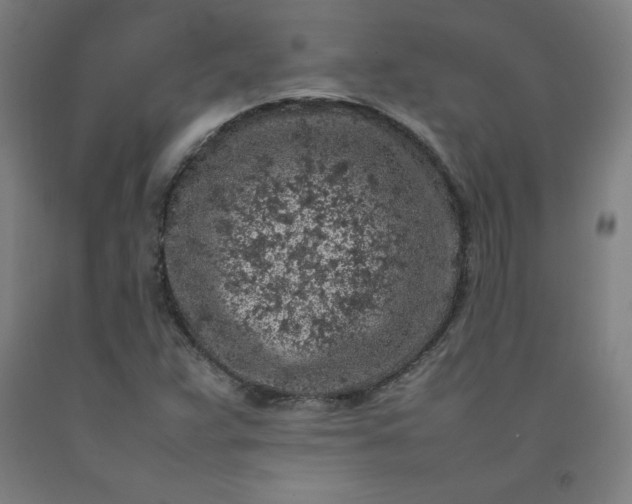 X0000092221359200709281035