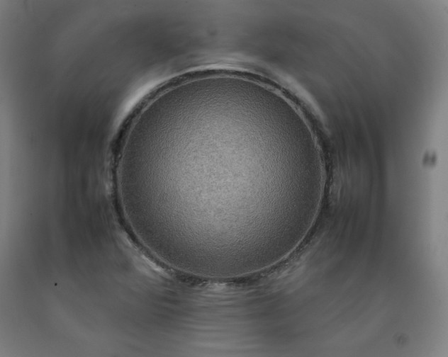 X0000092221360200709281035