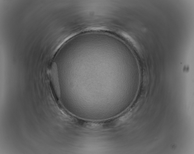 X0000092221361200709281035