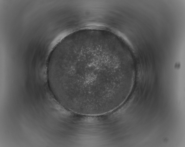 X0000092221362200709281035