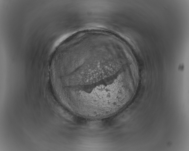 X0000092221363200709281035