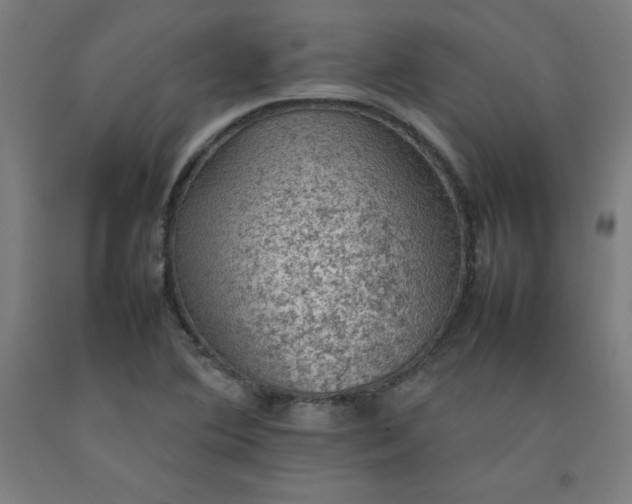 X0000092221364200709281035
