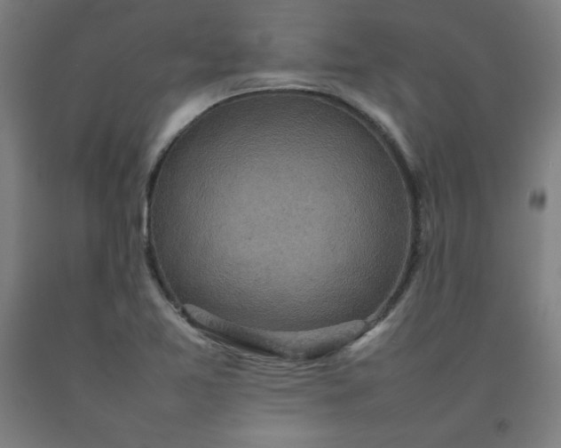 X0000092221365200709281035