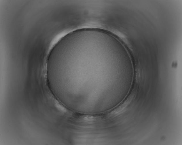 X0000092221366200709281035