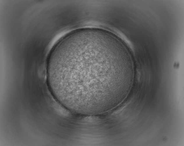 X0000092221368200709281035