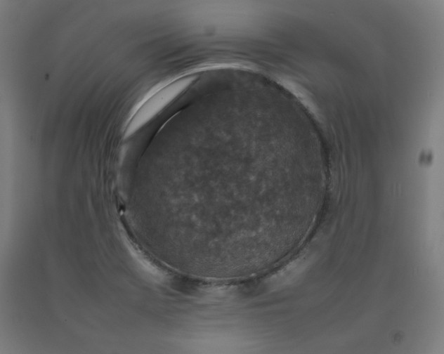 X0000092221369200709281035