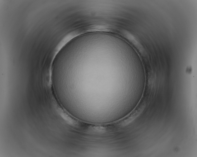 X0000092221370200709281035