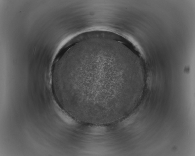 X0000092221372200709281035
