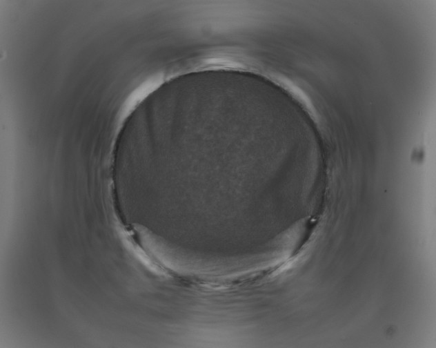 X0000092221373200709281035