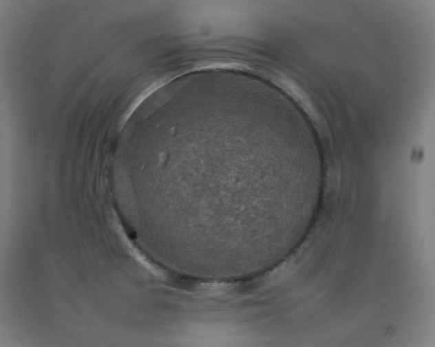 X0000092221377200709281034