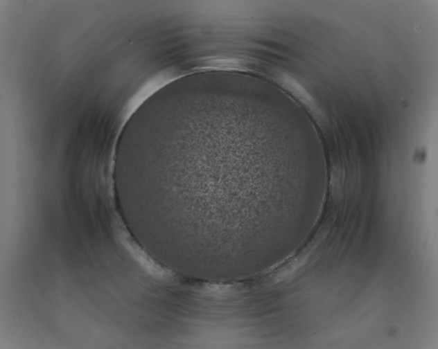 X0000092221378200709281034