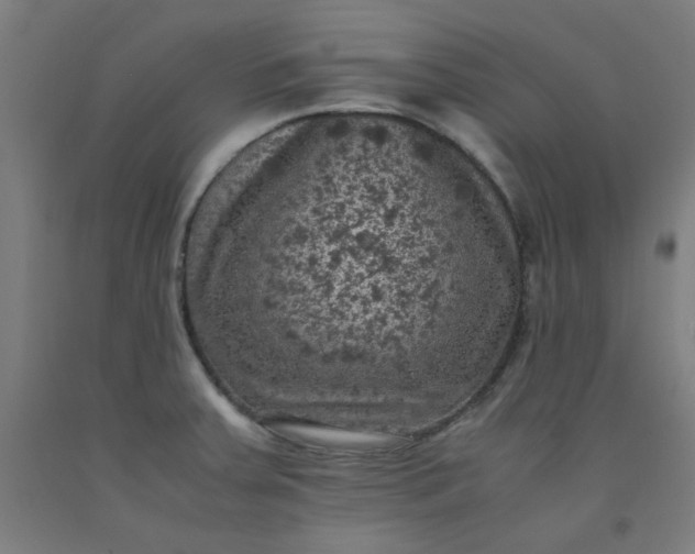 X0000092221379200709281034