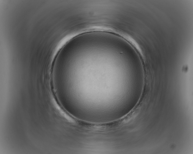 X0000092221381200709281034