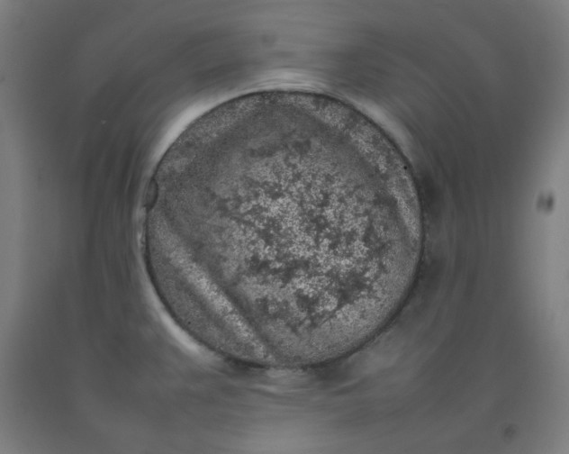 X0000092221383200709281034