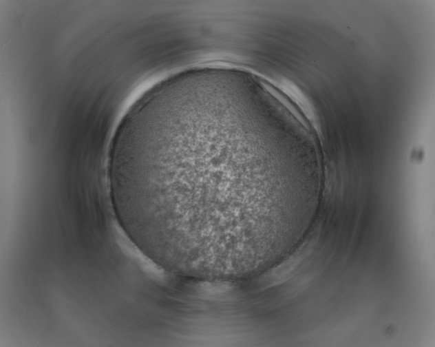 X0000092221384200709281034