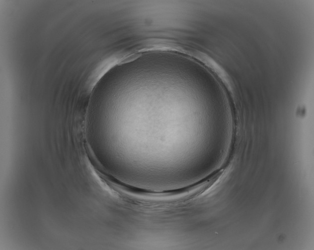 X0000092221385200709281034