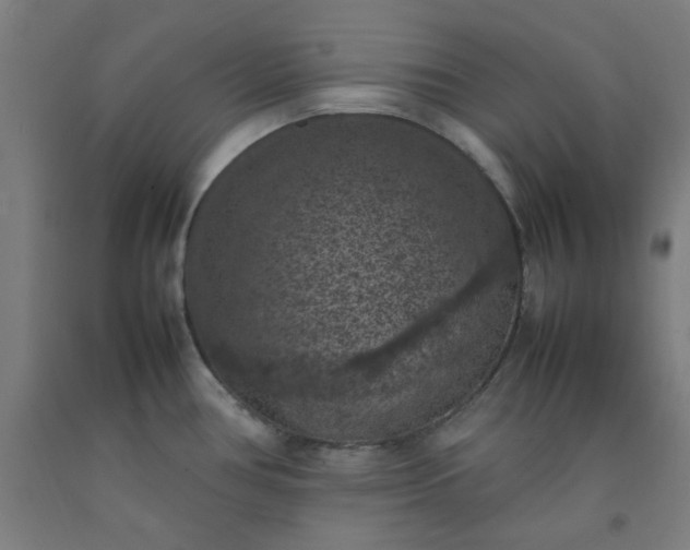 X0000092221386200709281034