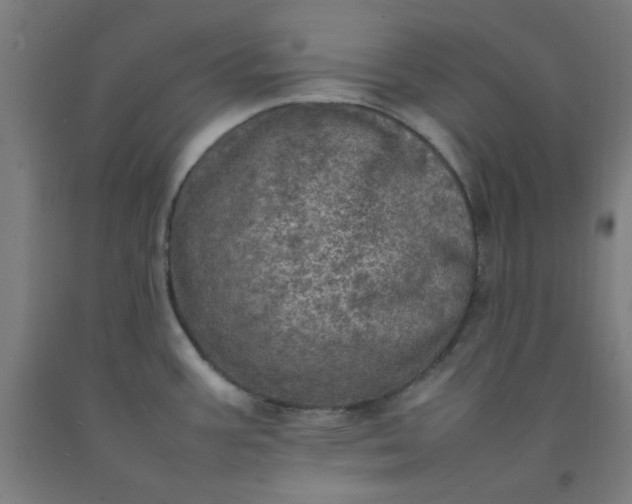 X0000092221387200709281034