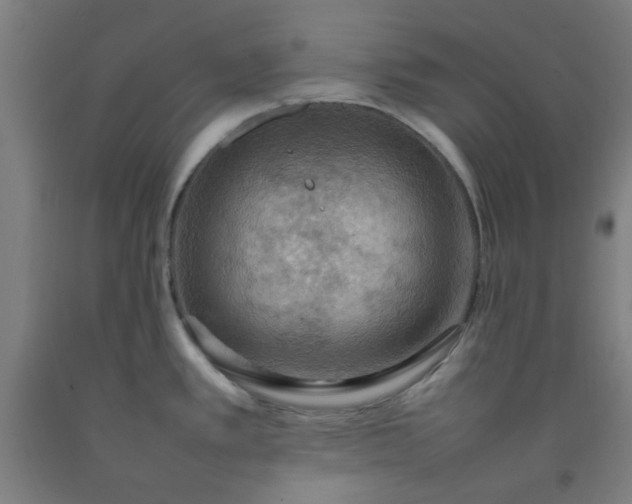 X0000092221389200709281034