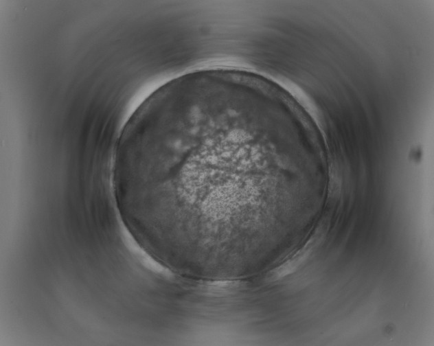 X0000092221390200709281034