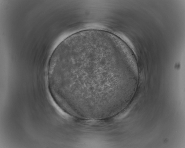 X0000092221391200709281034