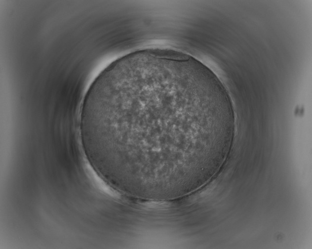 X0000092221392200709281034