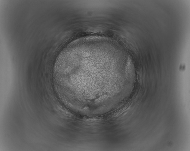 X0000092221393200709281034