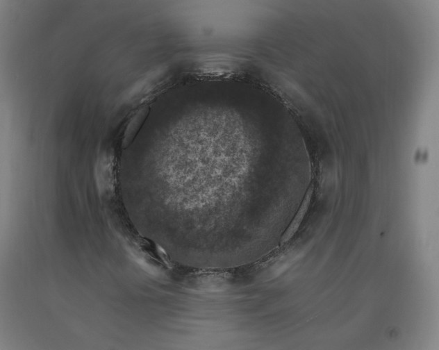 X0000092221394200709281034