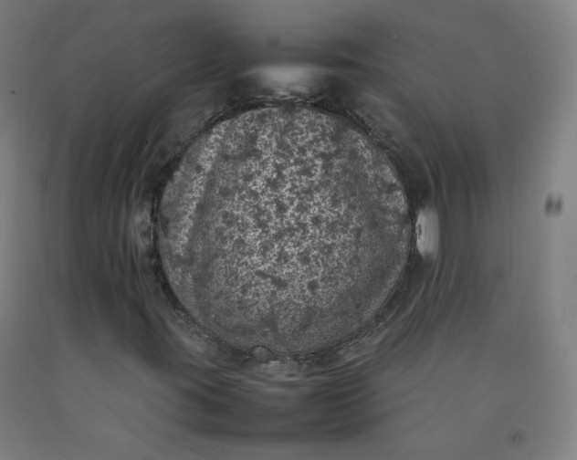X0000092221395200709281034