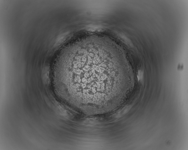 X0000092221396200709281034