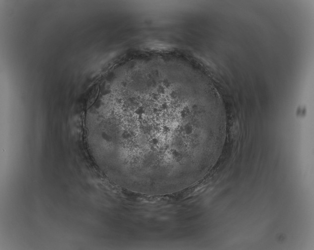 X0000092221397200709281034
