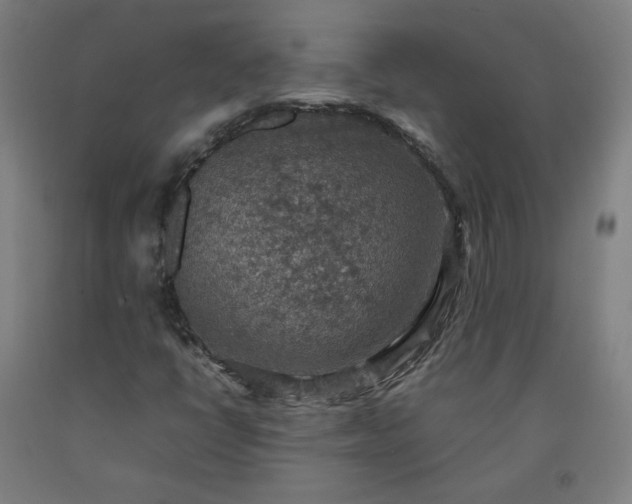 X0000092221398200709281034