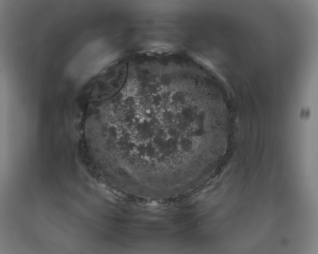 X0000092221399200709281034